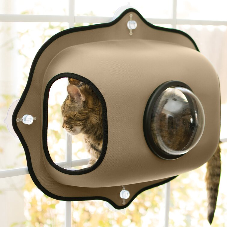 Bubble window shop cat bed